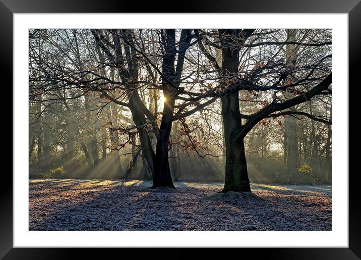  Frosty Morning Sunrise                            Framed Mounted Print by Sue Bottomley