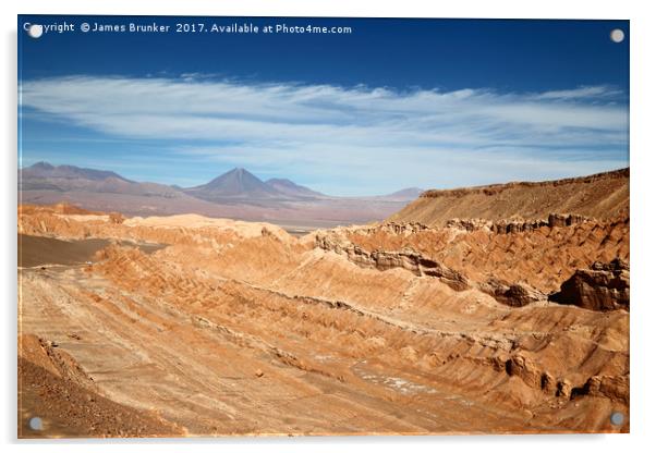 Atacama Desert near San Pedro de Atacama Chile Acrylic by James Brunker
