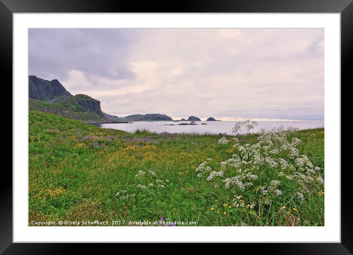 Evening Scenery in the Vesteralen Islands  Framed Mounted Print by Gisela Scheffbuch