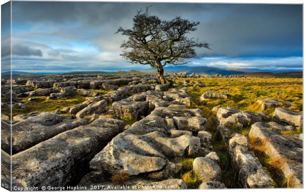 The Lone Tree on the Stones Canvas Print by George Hopkins