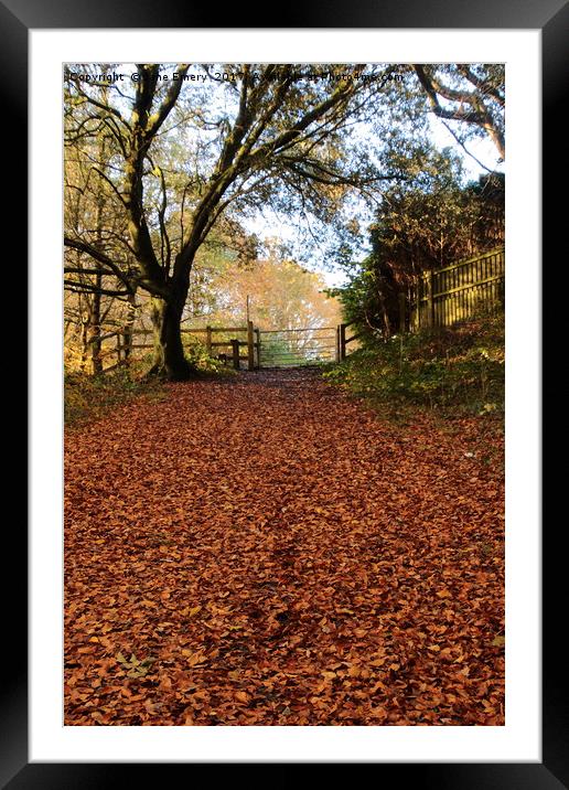 Autumn leaves through gateway Framed Mounted Print by Jane Emery