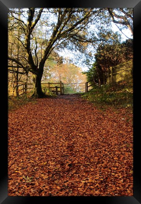 Autumn leaves through gateway Framed Print by Jane Emery