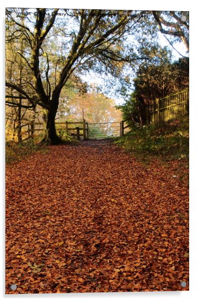 Autumn leaves through gateway Acrylic by Jane Emery