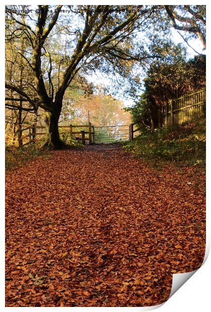 Autumn leaves through gateway Print by Jane Emery