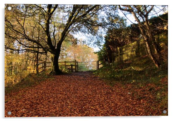 Woodland Walk Amongst the Leaves Acrylic by Jane Emery