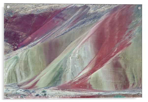 Painted Layers, Painted Hills of Oregon, USA Acrylic by David Roossien