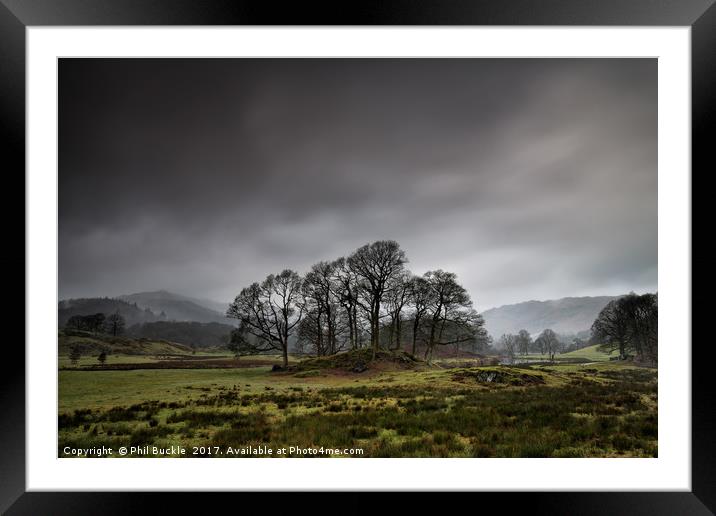 Brathay Copse Framed Mounted Print by Phil Buckle