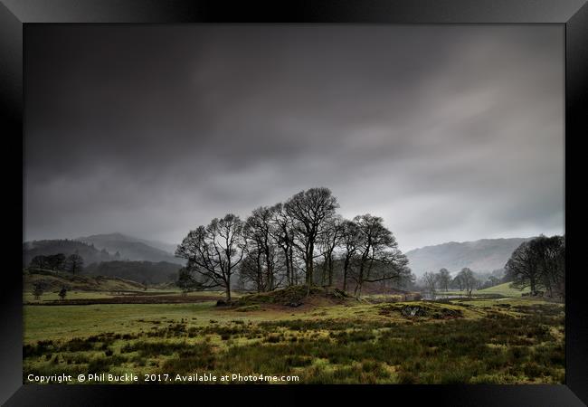 Brathay Copse Framed Print by Phil Buckle