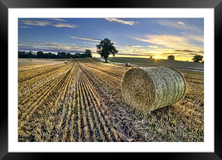 Last Of The Bales Framed Mounted Print by Fee Easton