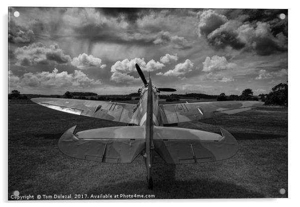 Spitfire sky mono Acrylic by Tom Dolezal