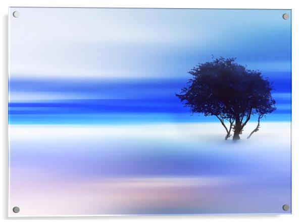The Tree Acrylic by Dagmar Giers