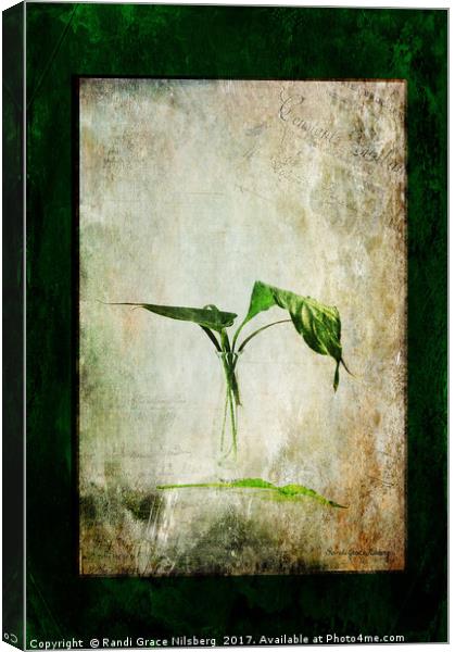 Green Melancholy Canvas Print by Randi Grace Nilsberg