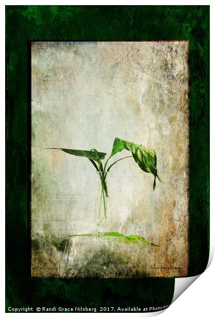 Green Melancholy Print by Randi Grace Nilsberg