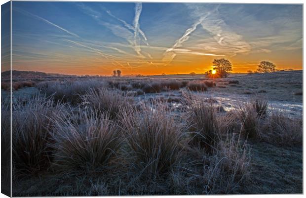 Morning has broken Canvas Print by Stephen Prosser