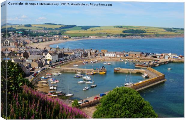 View across Stonehaven Harbour Canvas Print by Angus McComiskey