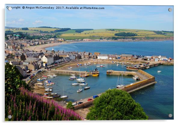 View across Stonehaven Harbour Acrylic by Angus McComiskey