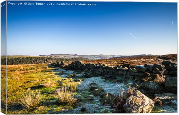 View above Langsett Canvas Print by Gary Turner
