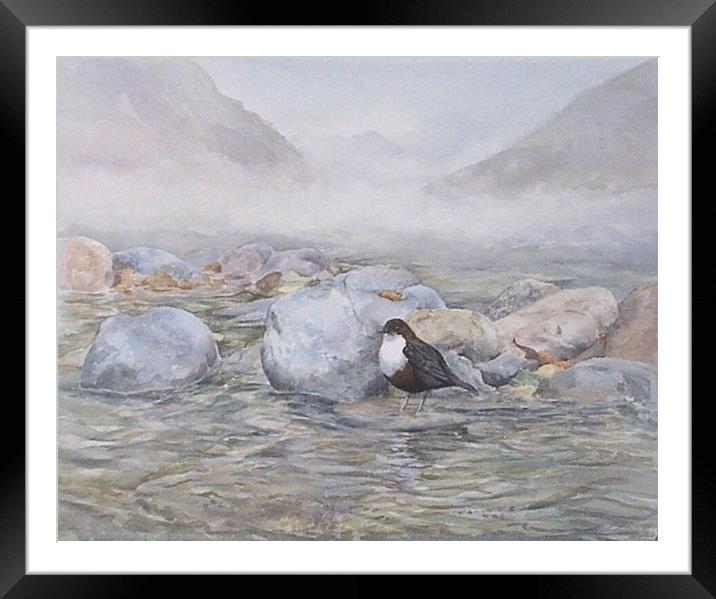 Dipper in the River, Watercolour, small sizes only Framed Mounted Print by Linda Lyon