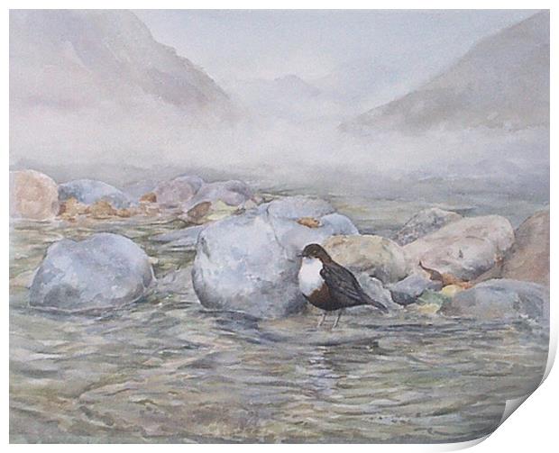 Dipper in the River, Watercolour, small sizes only Print by Linda Lyon