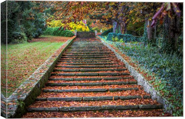 Autumnal Stairs Canvas Print by David Hare