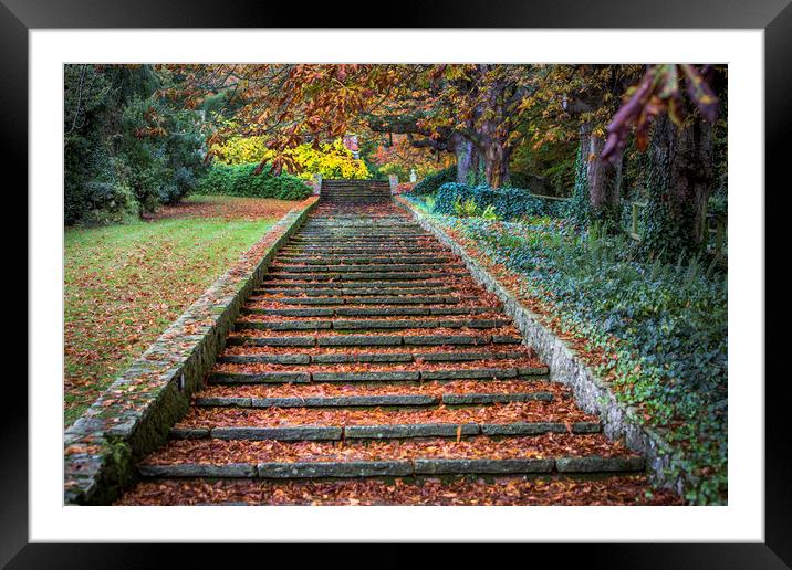 Autumnal Stairs Framed Mounted Print by David Hare