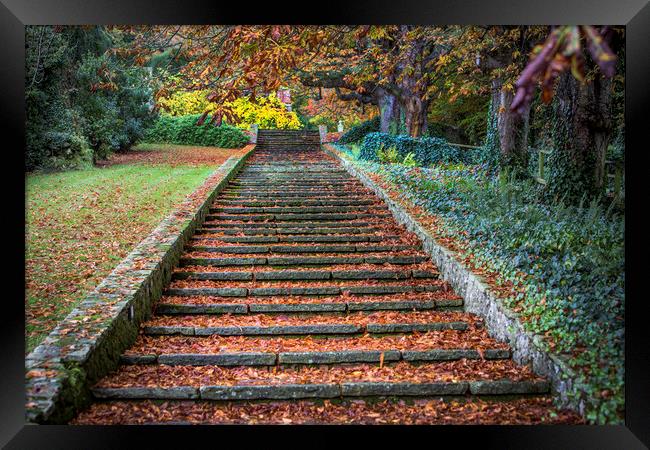 Autumnal Stairs Framed Print by David Hare