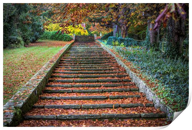 Autumnal Stairs Print by David Hare