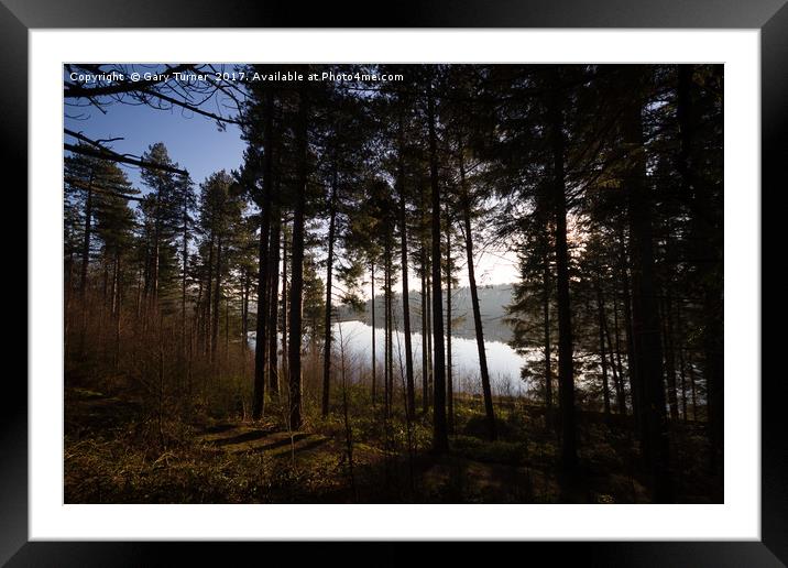 Through Langsett Woods Framed Mounted Print by Gary Turner