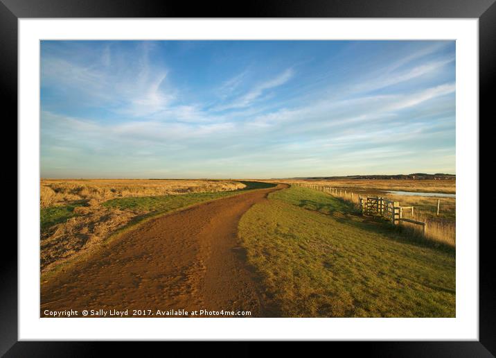 The winding path to Cley Framed Mounted Print by Sally Lloyd