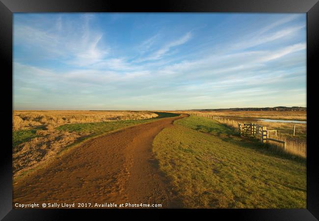 The winding path to Cley Framed Print by Sally Lloyd