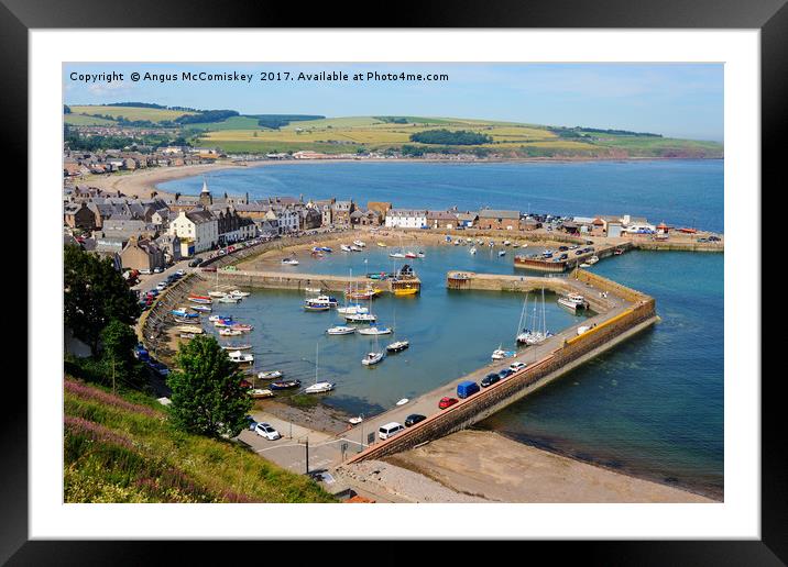 Looking down on Stonehaven Harbour Framed Mounted Print by Angus McComiskey