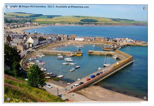 Looking down on Stonehaven Harbour Acrylic by Angus McComiskey