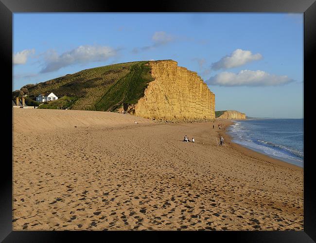 Sandstone Cliffs at West Bay Framed Print by Phil English
