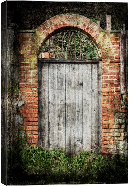 Old Doorway Canvas Print by David Hare
