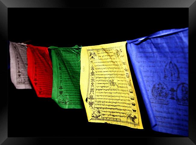 Tibetan Flag Framed Print by Will Black