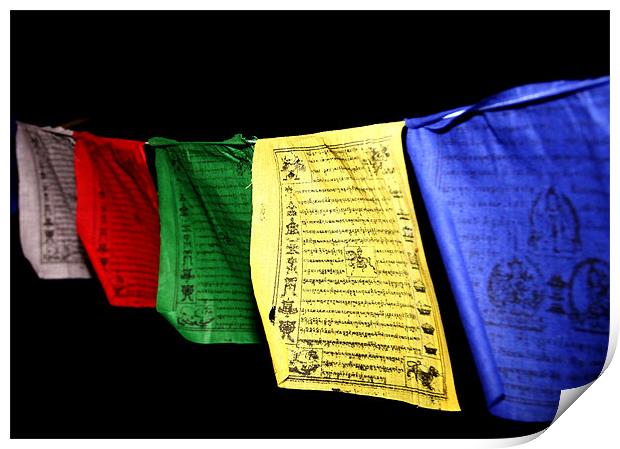Tibetan Flag Print by Will Black