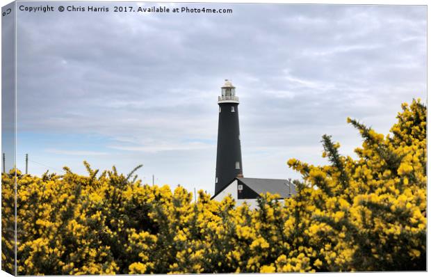The Old Lighthouse, Dungeness Canvas Print by Chris Harris