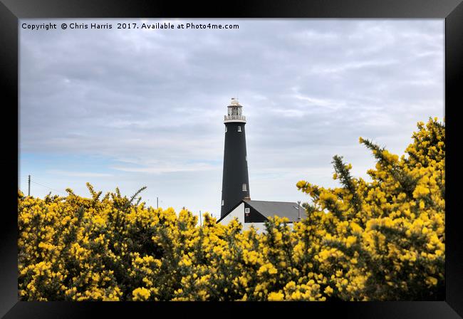The Old Lighthouse, Dungeness Framed Print by Chris Harris