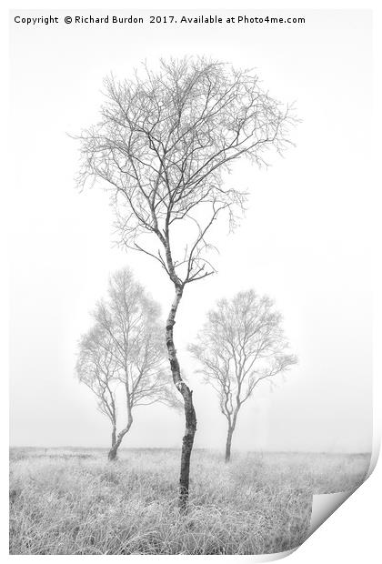 Three Trees Print by Richard Burdon