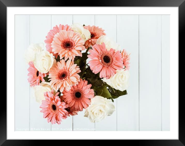 Pink Gerbera Daisy Flowers And White Roses Bouquet Framed Mounted Print by Radu Bercan