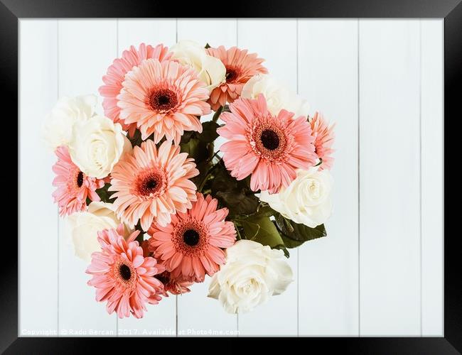 Pink Gerbera Daisy Flowers And White Roses Bouquet Framed Print by Radu Bercan