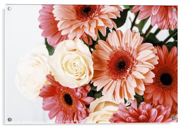 Pink Gerbera Daisy Flowers And White Roses Bouquet Acrylic by Radu Bercan