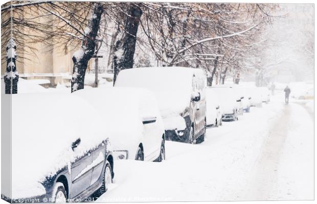 Cars Covered With Fresh White Snow After A Heavy B Canvas Print by Radu Bercan