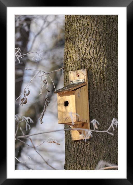 Litle box house for birds in winter tree Framed Mounted Print by Adrian Bud