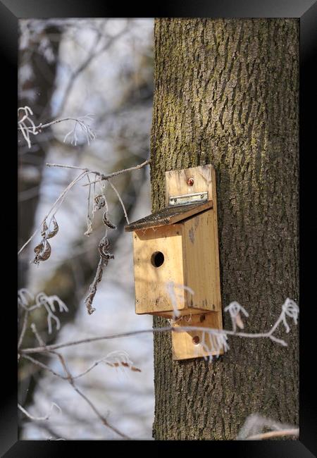 Litle box house for birds in winter tree Framed Print by Adrian Bud