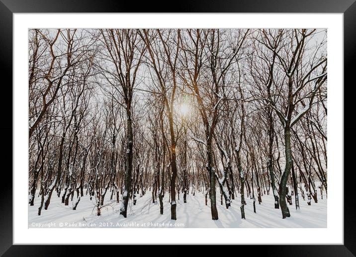 Forest Trees Covered With White Winter Snow Framed Mounted Print by Radu Bercan