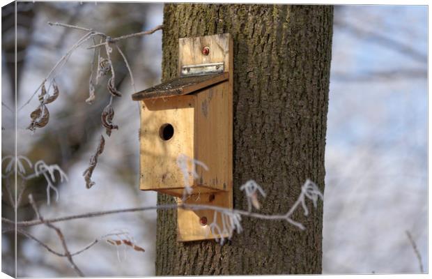 box for birds in tree Canvas Print by Adrian Bud