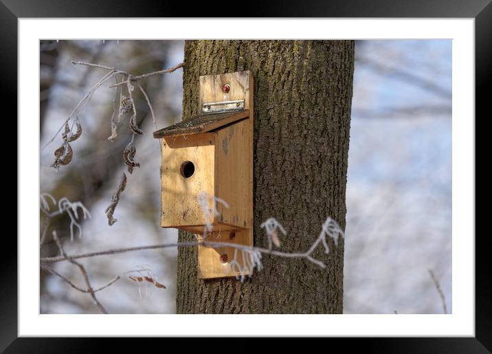 box for birds in tree Framed Mounted Print by Adrian Bud