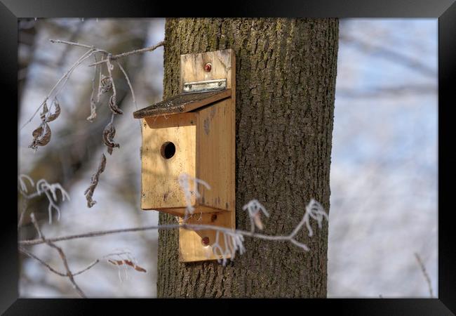 box for birds in tree Framed Print by Adrian Bud