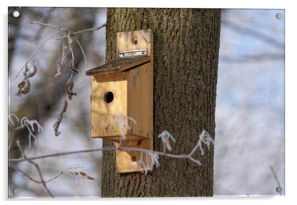 box for birds in tree Acrylic by Adrian Bud